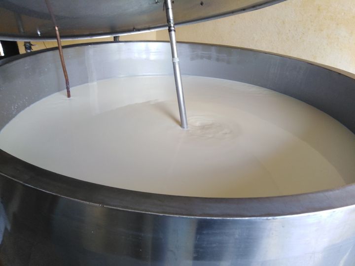 La verdad sobre el nuevo precio de la leche 