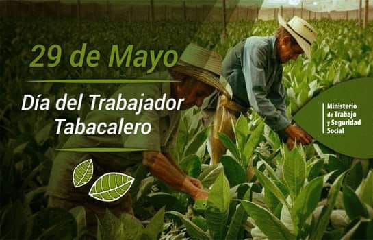 Celebran en Villa Clara Día del Trabajador Tabacalero