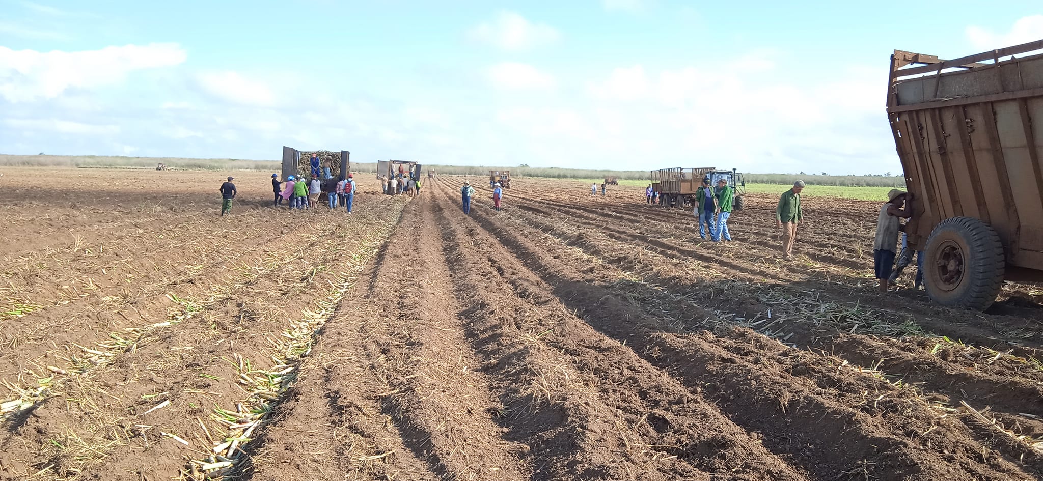 Agroazucareros  villaclareños por mejores resultados en saludo al aniversario 71 del Moncada