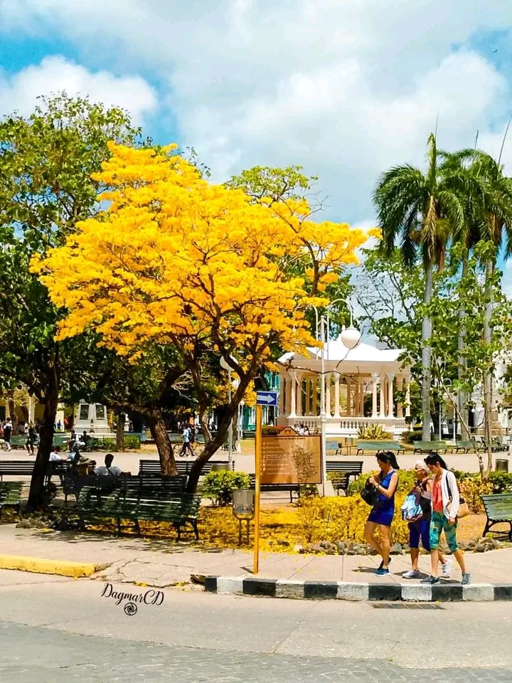 Parque Vidal o donde nació la ciudad (+Fotos)