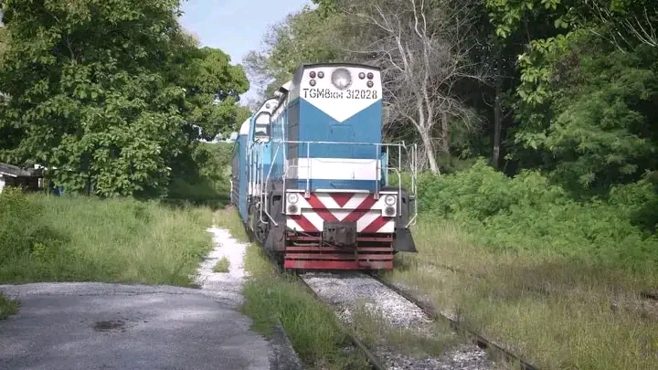 Informan suspensión del servicio del tren universitario