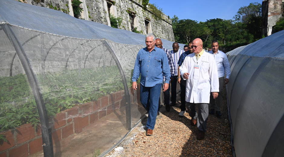 Díaz-Canel destaca resultados del Hospital Ortopédico Fructuoso Rodríguez