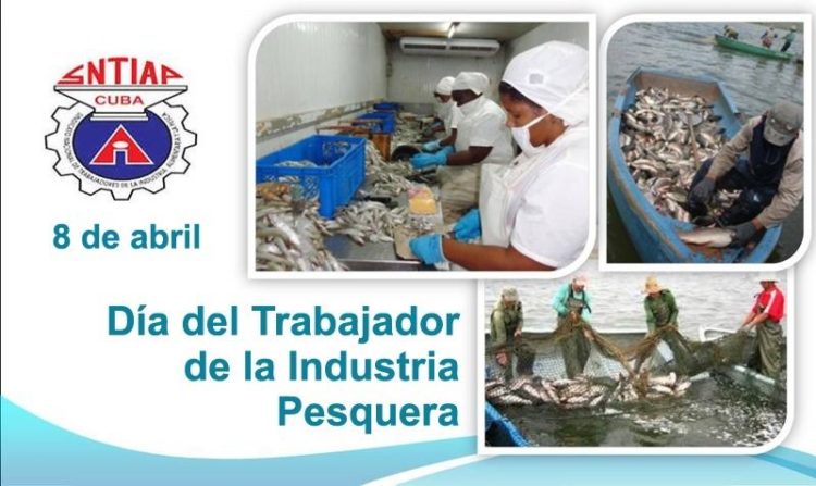 Trabajadores del sector de la pesca en jornada por su día