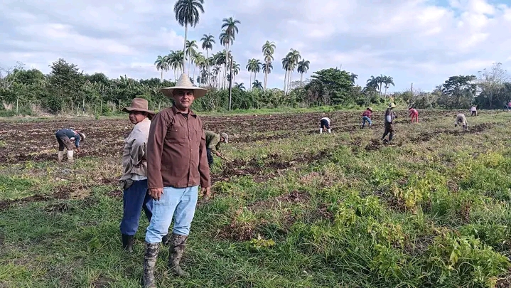 Donde Marlon pone sus manos de artista, hay resultados