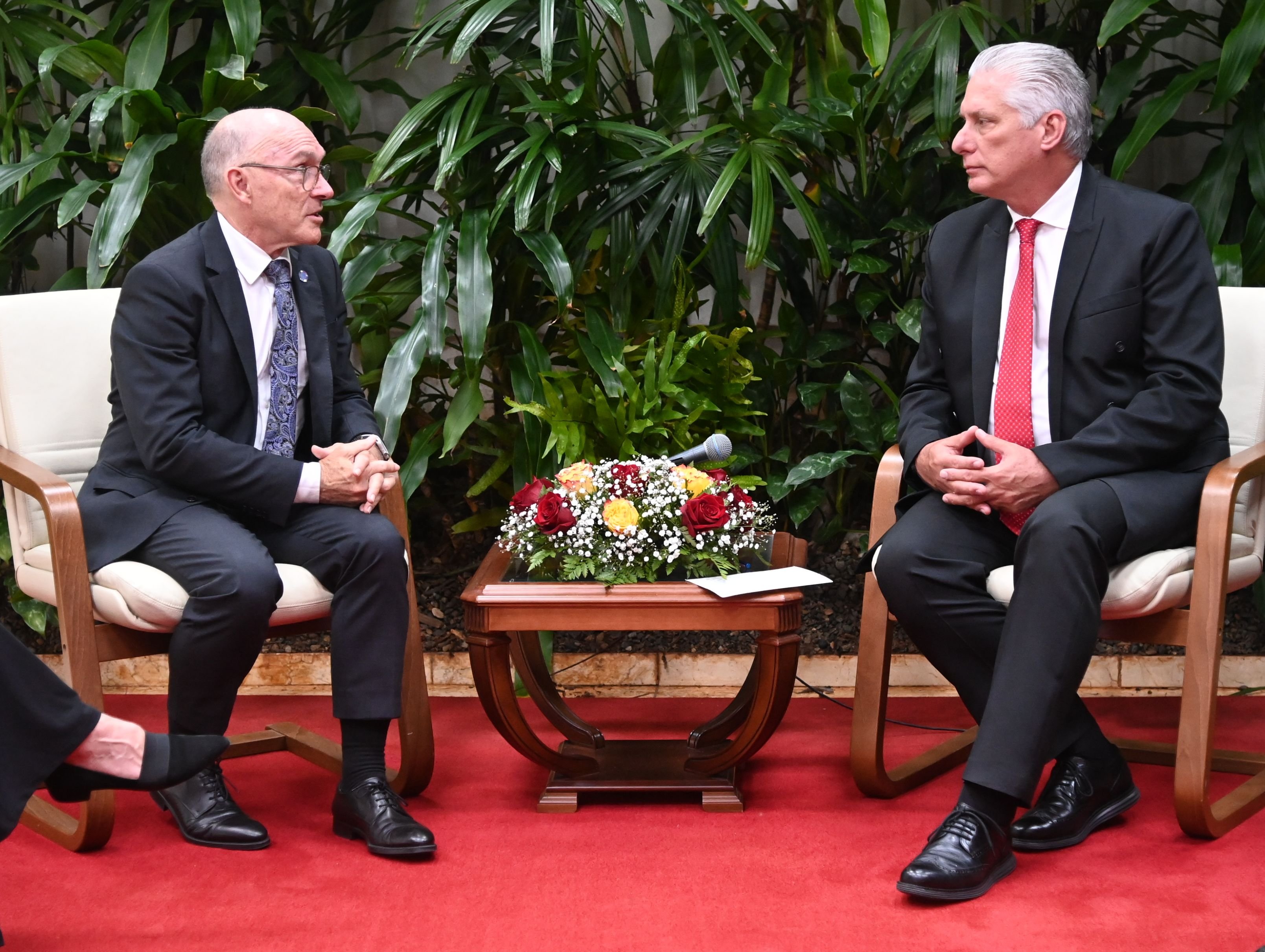 Reitera presidente Díaz-Canel compromiso de Cuba con desarme nuclear
