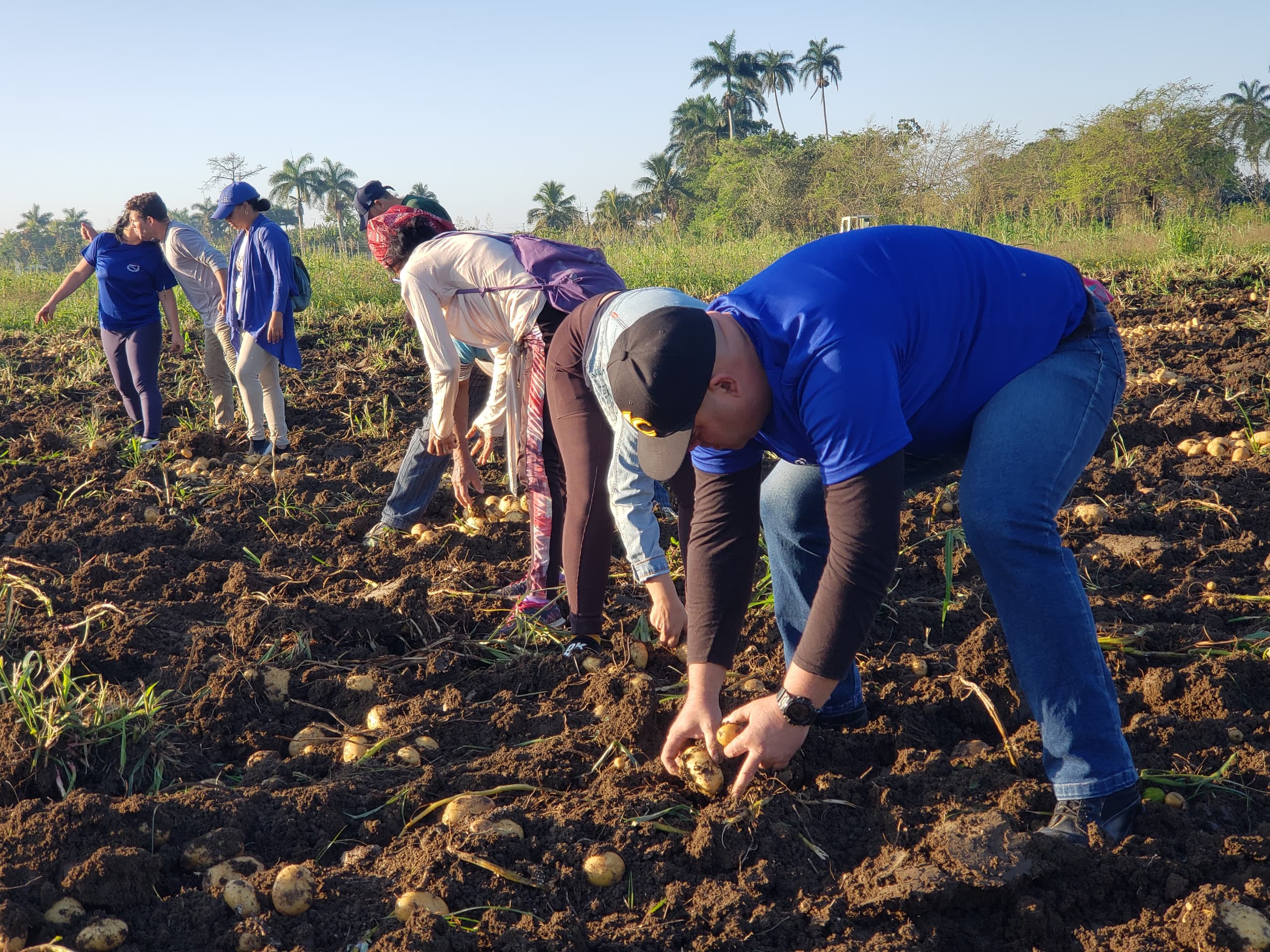 Santaclareños en trabajo voluntario en el Yabú, en saludo al Primero de Mayo