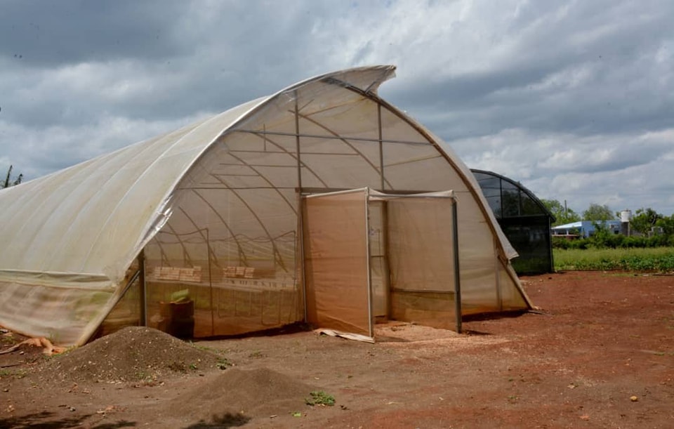 Agricultura ecológica en el centro de Cuba