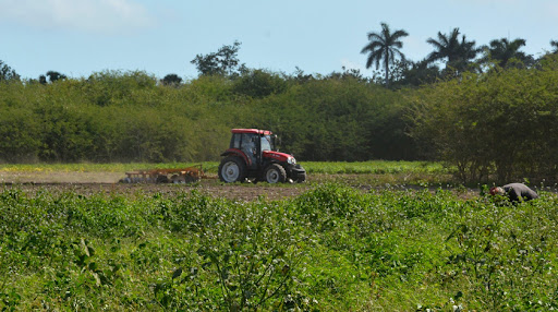 Gobierno en Cuba aboga por atención a programas de desarrollo local