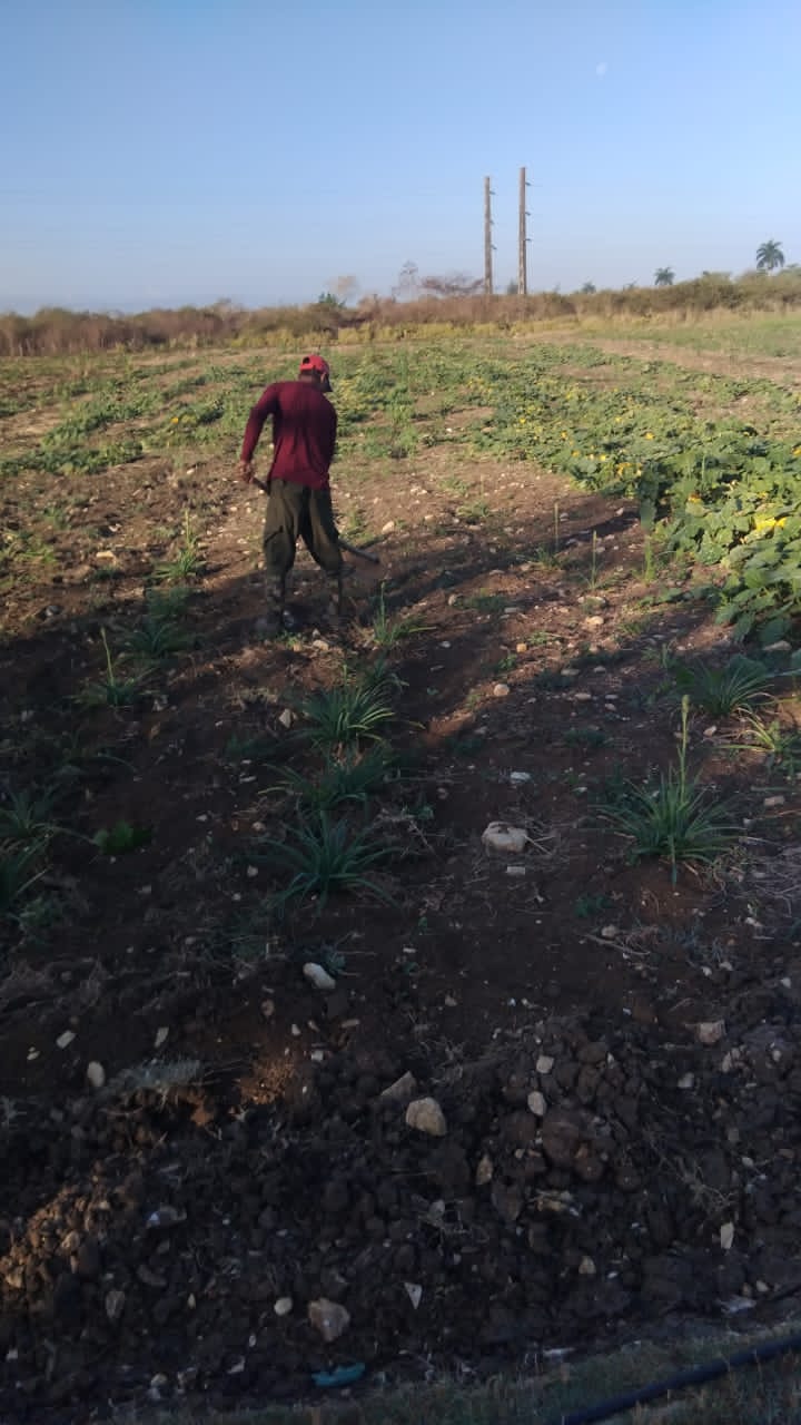 A cinco años de creada, la finca "Los Sosa" tiene historias que contar