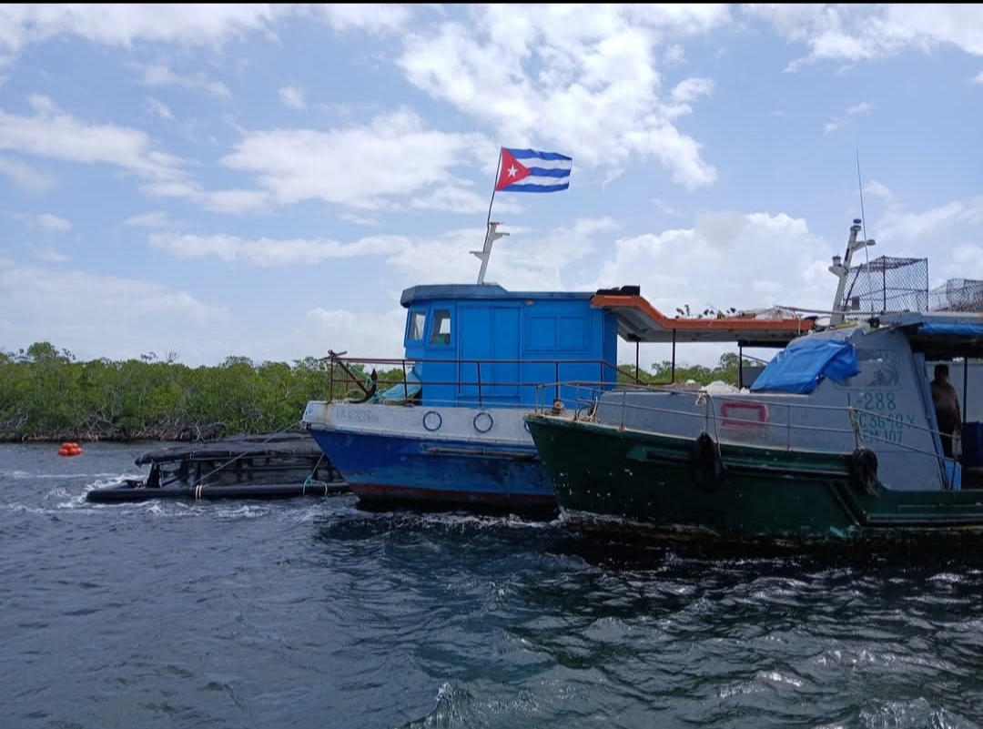 Avanza proyecto vietnamita de acuicultura en la UEB Cahamar de Quemado de Güines