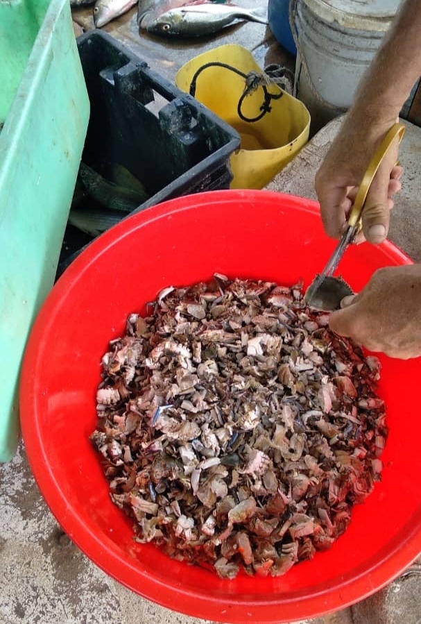 Avanza proyecto vietnamita de acuicultura en la UEB Cahamar de Quemado de Güines