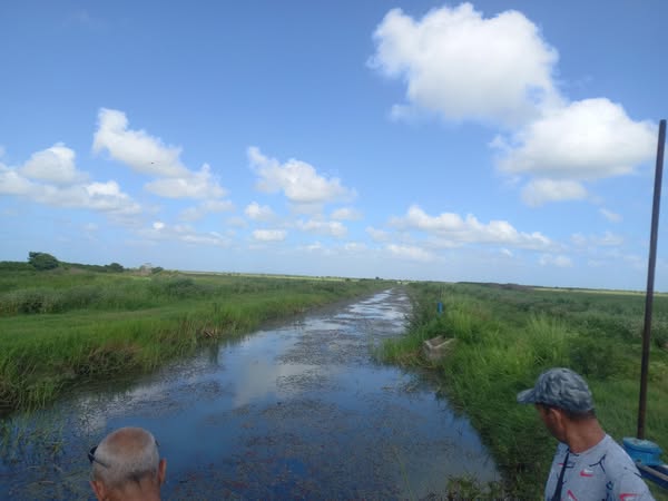 Avanzar en la limpieza de canal magistral del polo arrocero de Piñón para lograr mayores resultados productivos en la siembra del cereal
