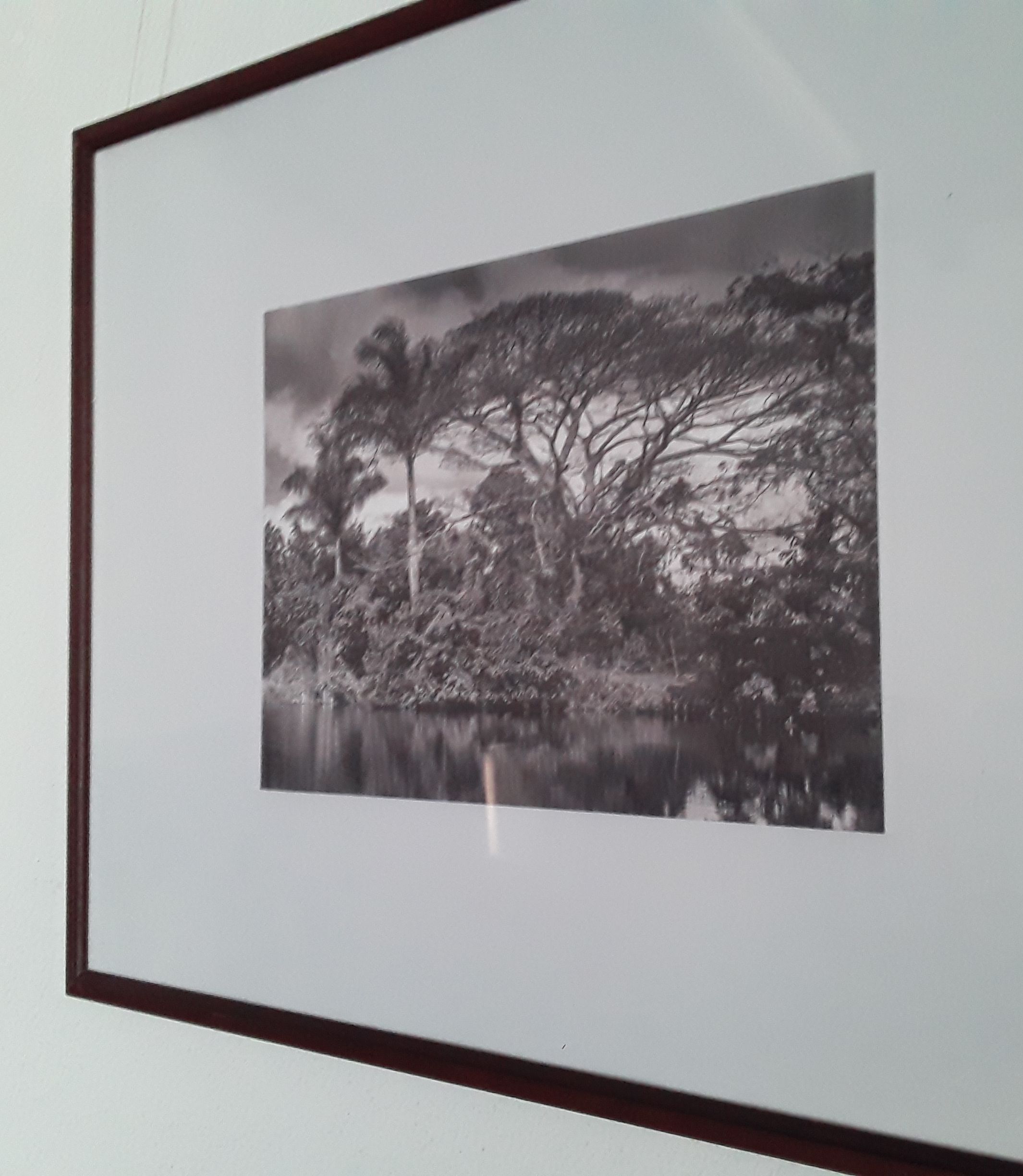 Nueva expo fotográfica en la casa de la UNEAC
