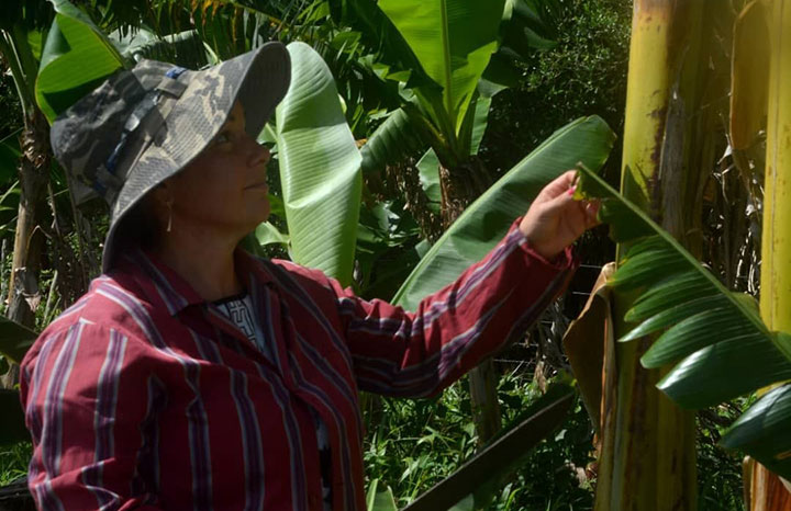 Desde Villa Clara equidad y dignidad para todas las mujeres