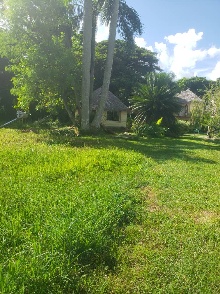 De la granja a la mesa” en el Hotel La Granjita de Villa Clara, sustenta la demanda alimentaria de la instalación, sus trabajadores y la comunidad