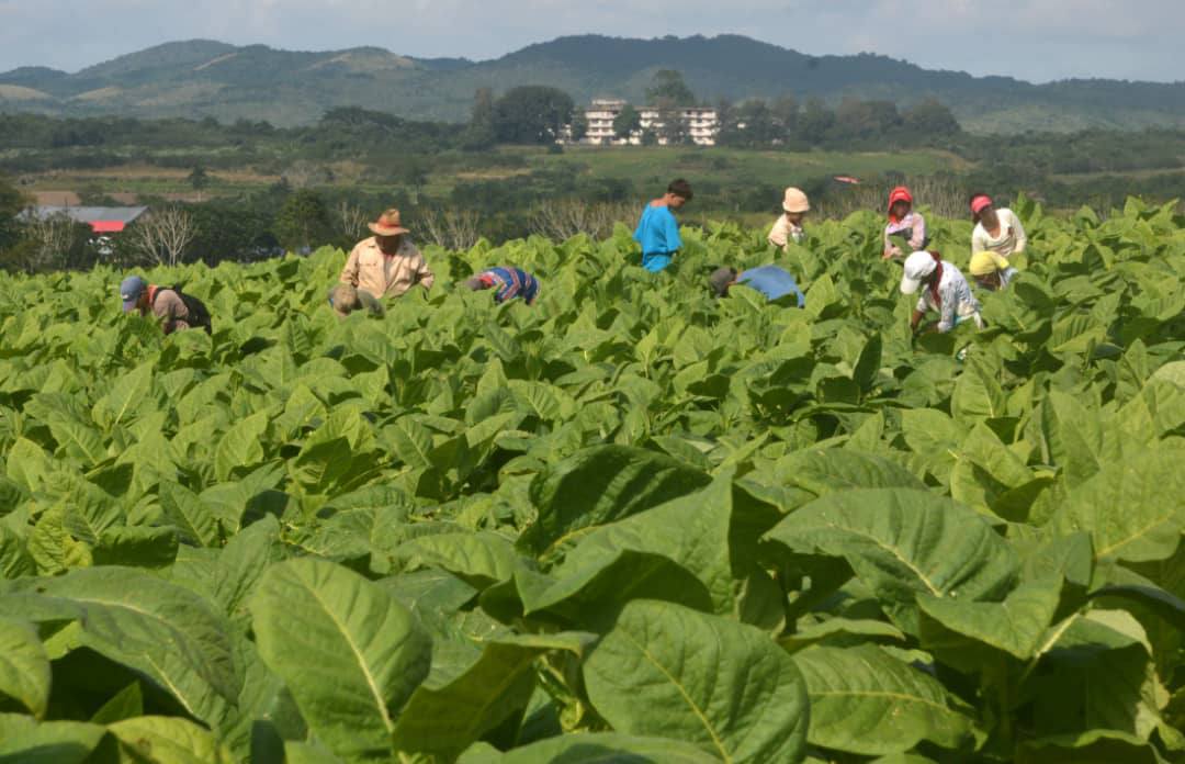 2025, villaclareños, vencedores de dificultades y obstáculos