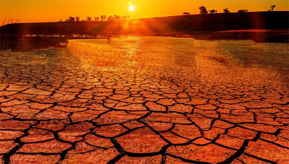 Organización Meteorológica Mundial: Efectos del cambio climático se sintieron en todo el planeta en 2024