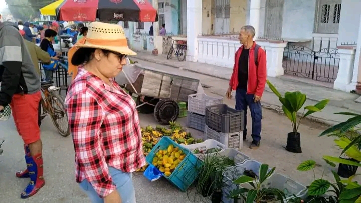 Recorre gobernadora villaclareña feria agropecuaria de Camajuaní 