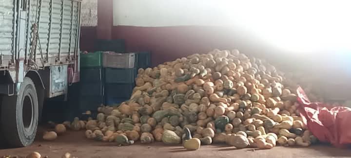 Inspectores villaclareños actúan ante violaciones de la legislación (+Audio)