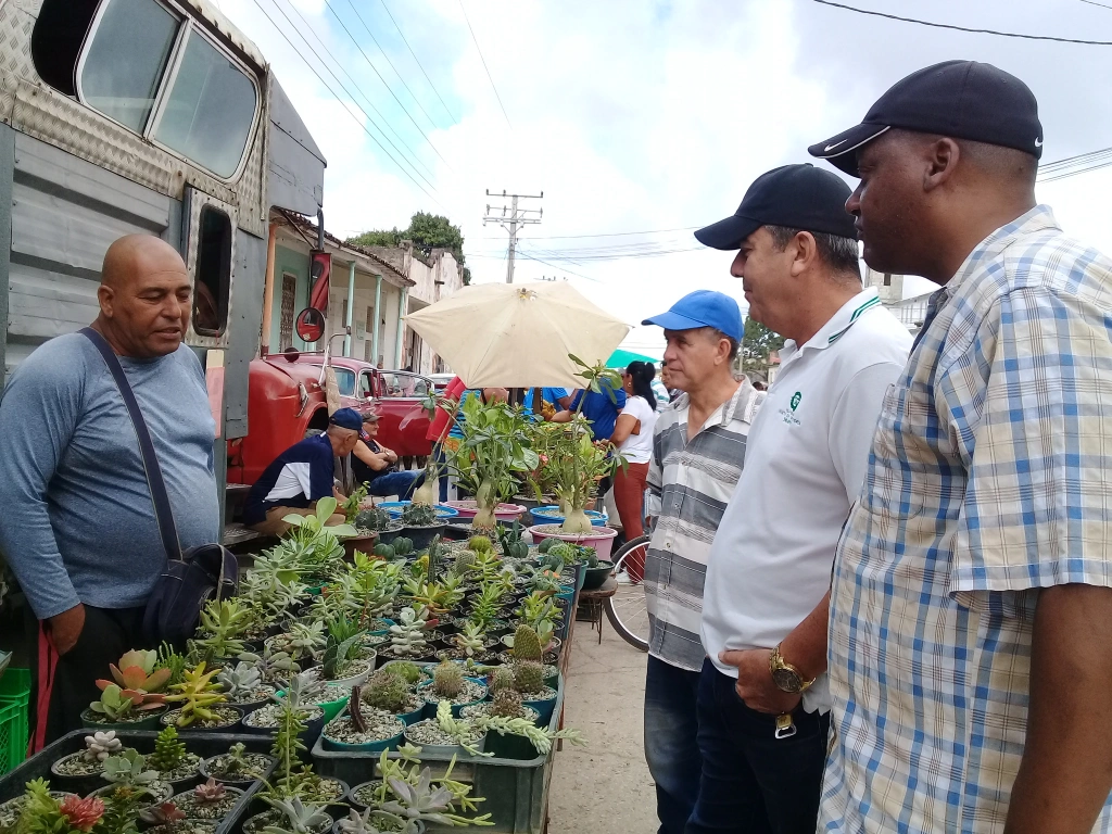 Noel Chinea Pérez,  vicegobernador de la provincia de Villa Clara, recorrió este 9 de febrero  la feria agropecuaria dominical del municipio de Placetas, donde intercambió con  pobladores  y algunos concurrentes, y visitó las circunscripciones vulnerables 61 y 108, ubicadas en el Consejo Popular  Pujols Los Chinos de la cabecera municipal.