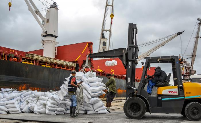  La cantidad del grano en descarga garantiza la distribución de diciembre –en los territorios que aún no se ha concluido la entrega–, «totalmente la de enero, y de manera parcial la de febrero». Foto: José Manuel Correa 