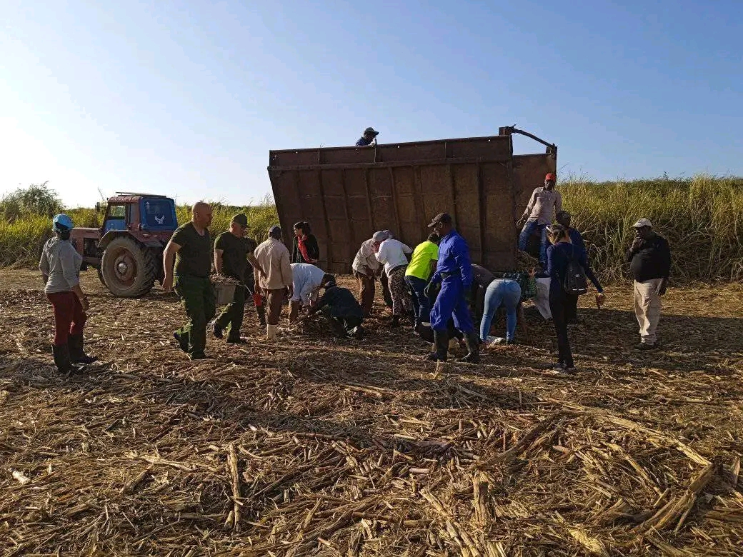 Desde la zafra, Día Territorial de la Defensa en Villa Clara