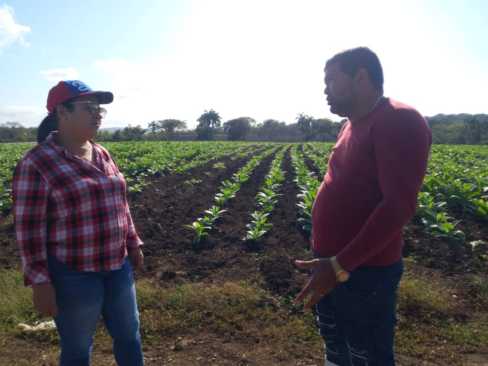Cumplimenta gobernadora villaclareña amplia agenda de trabajo este domingo