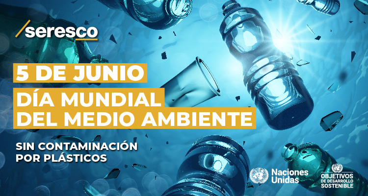Día Mundial del Medio Ambiente: por un planeta libre de contaminación por plástico