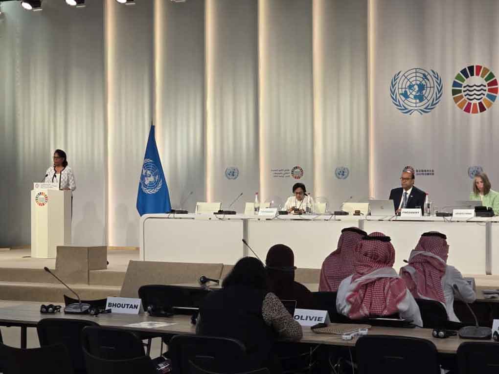 Cuba advierte en foro sobre poco avance en protección de océanos