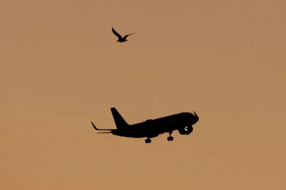 Identifican cuatro posibles causas del accidente del avión de Air India que se estrelló en 30 segundos