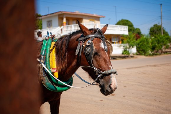 Remedios, un tesoro cubano