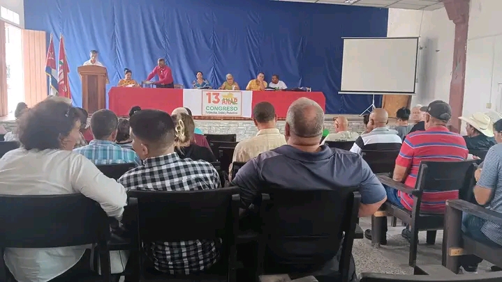 Discute temas claves pleno de la ANAP en Villa Clara 