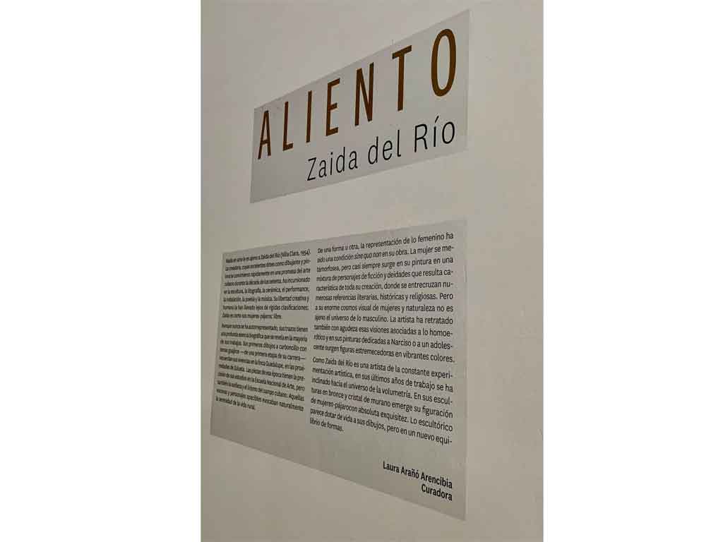 Artista cubana Zaida del Río recibe Premio Maestro de Juventudes