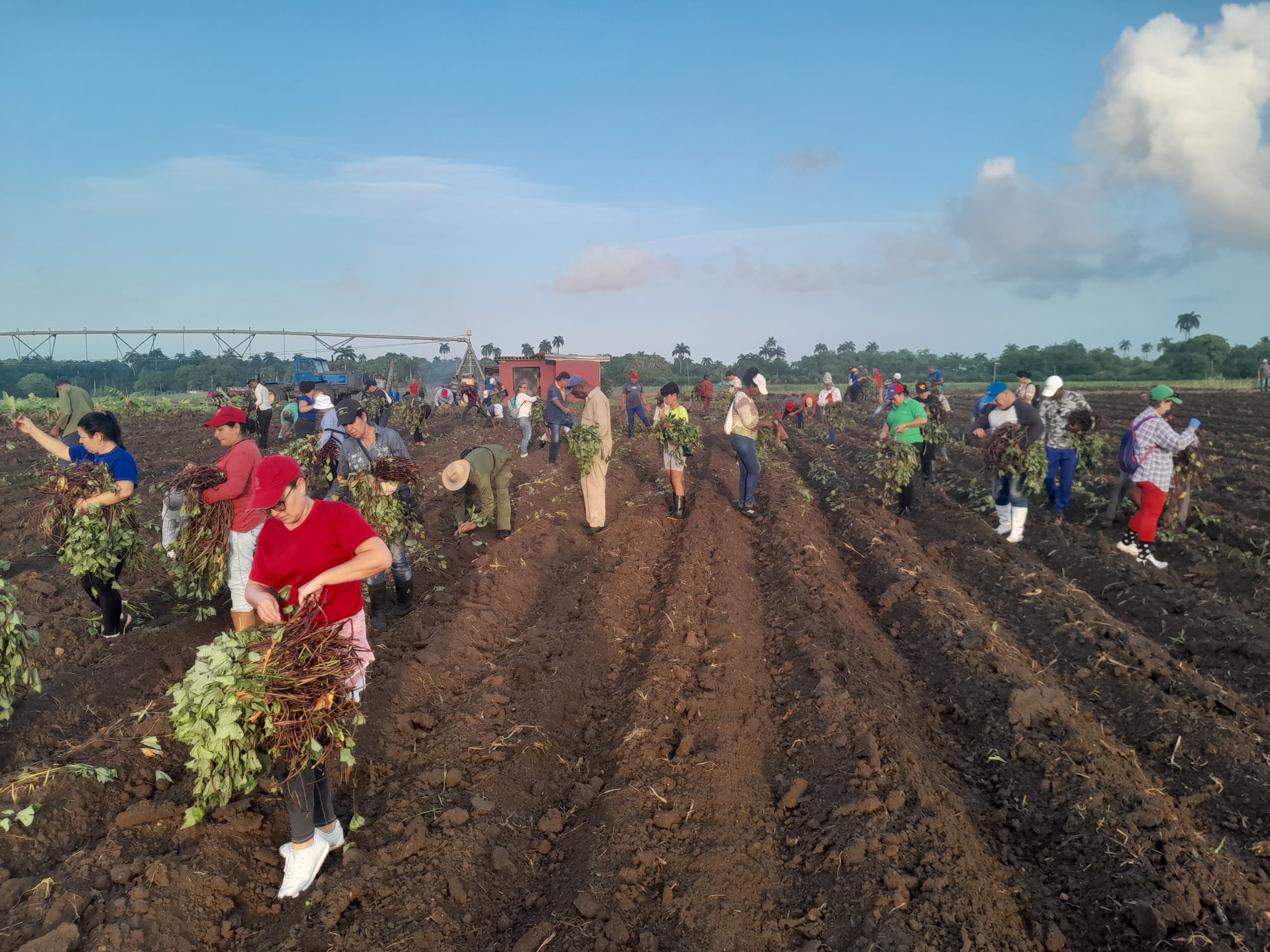 Domingo de trabajo voluntario en Villa Clara