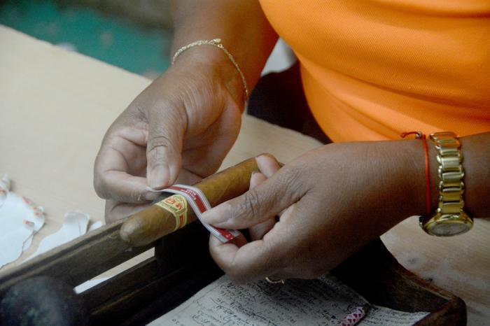  Detrás de cada Habano hay manos expertas. Foto: Ismael Batista Ramírez 