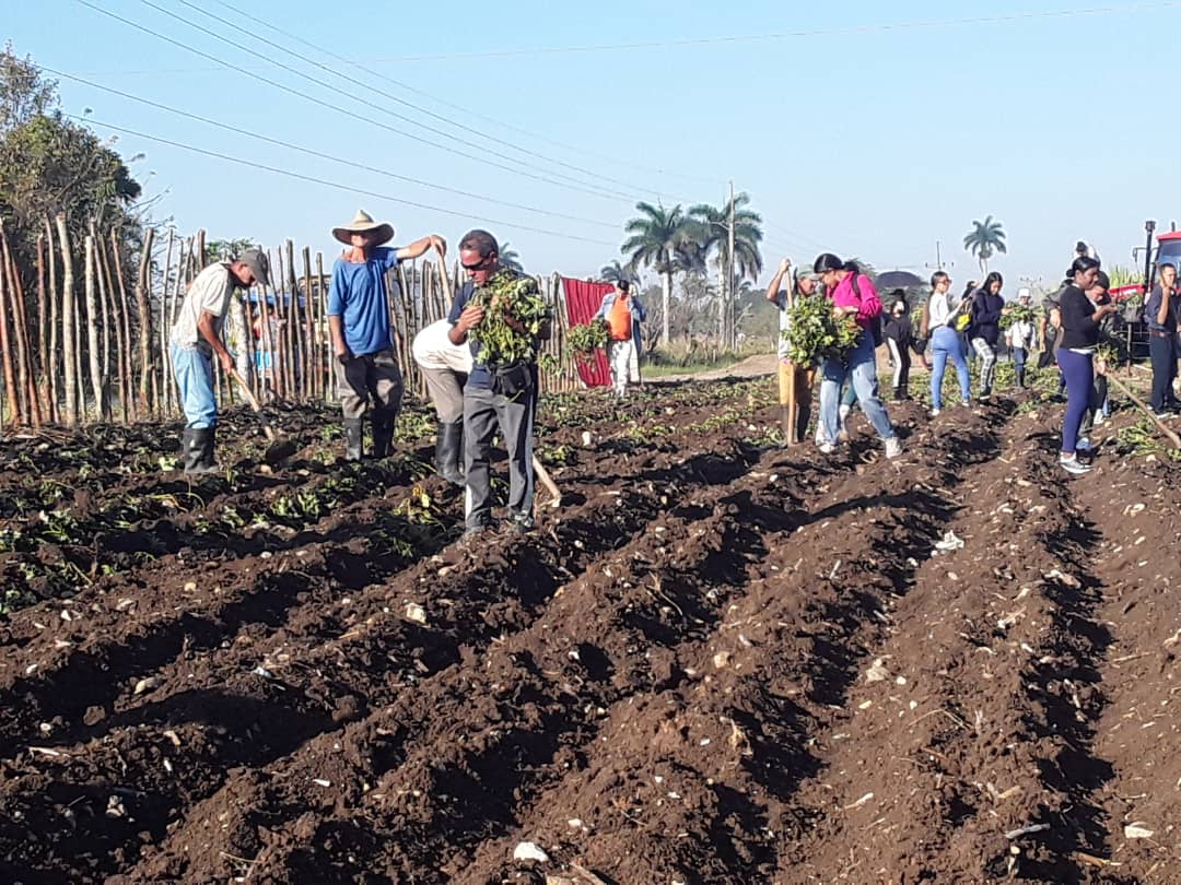 Amplio programa de actividades en Placetas por el aniversario 63 de la UJC