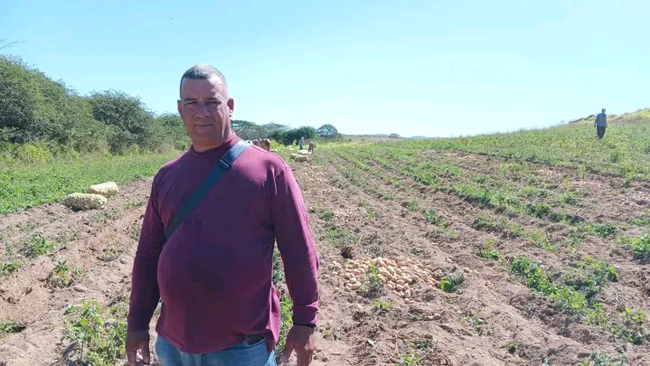 Yaliel Alba Rojas: ganadero, veguero y ahora también papero.