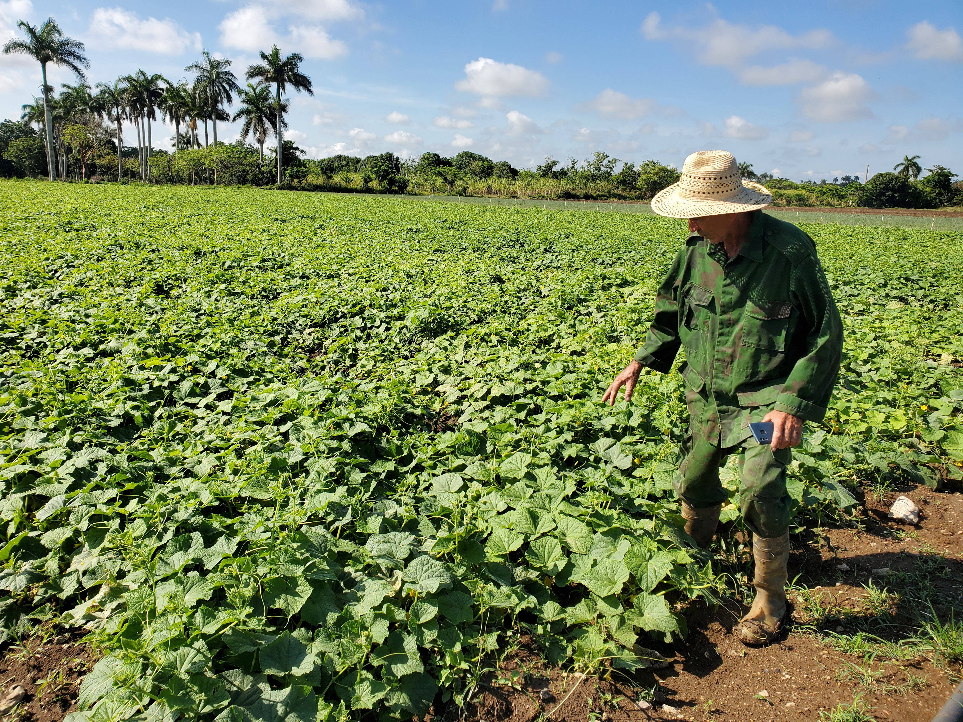 Lo que no puede faltar jamás, y de eso tengo infinitas pruebas, es la voluntad de nuestros campesinos de imponerse a los obstáculos, de los hombres y de la naturaleza.