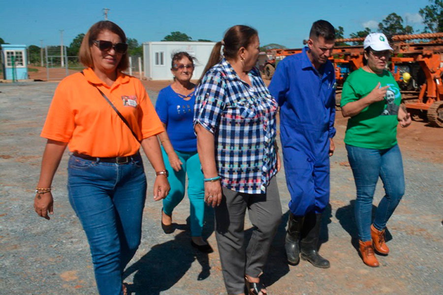 Avanza levantamiento del parque solar fotovoltaico de Bermejal