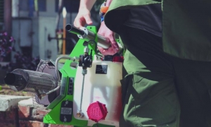 Proliferación del Aedes aegypti hace más complejo el cuadro epidemiológico en el país