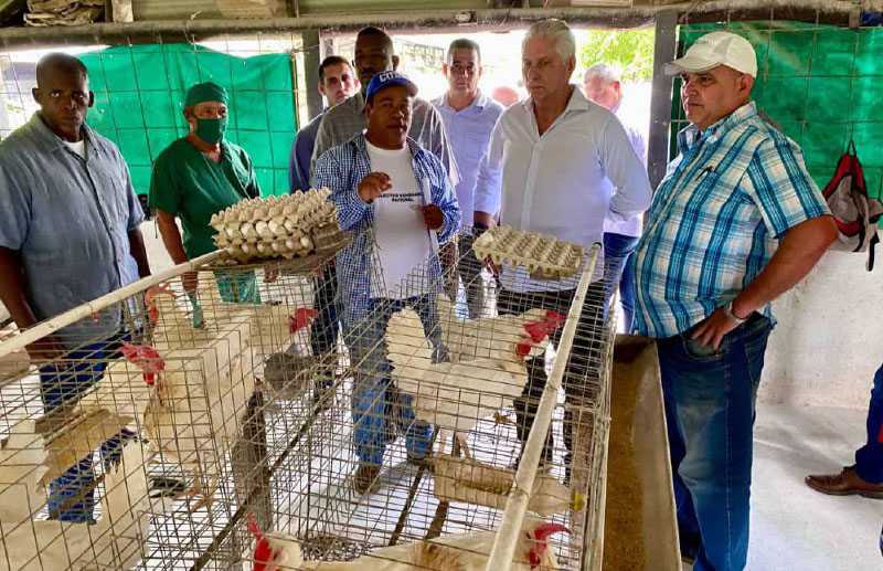 Constató Díaz- Canel acciones para lograr soberanía alimentaria