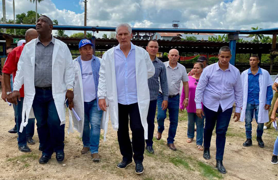 Constató Díaz- Canel acciones para lograr soberanía alimentaria