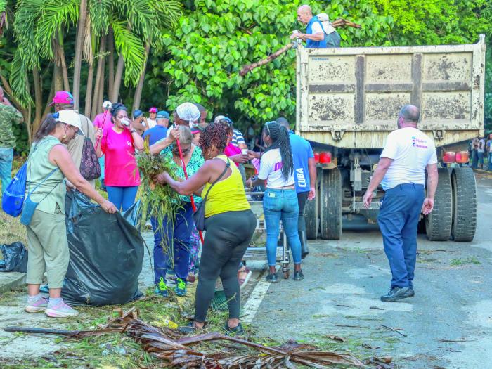 Sistematicidad y unidad para enfrentar los problemas