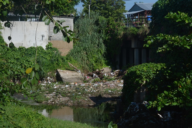 La recogida de basura, ¿un problema en vías de solución?