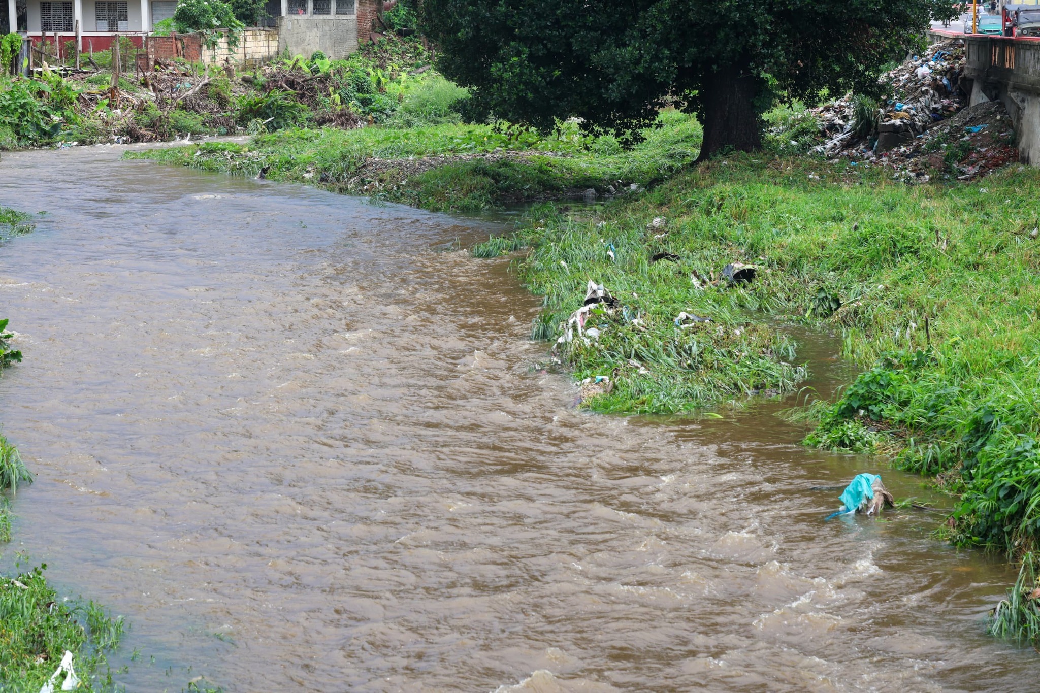 Cuando el río habla