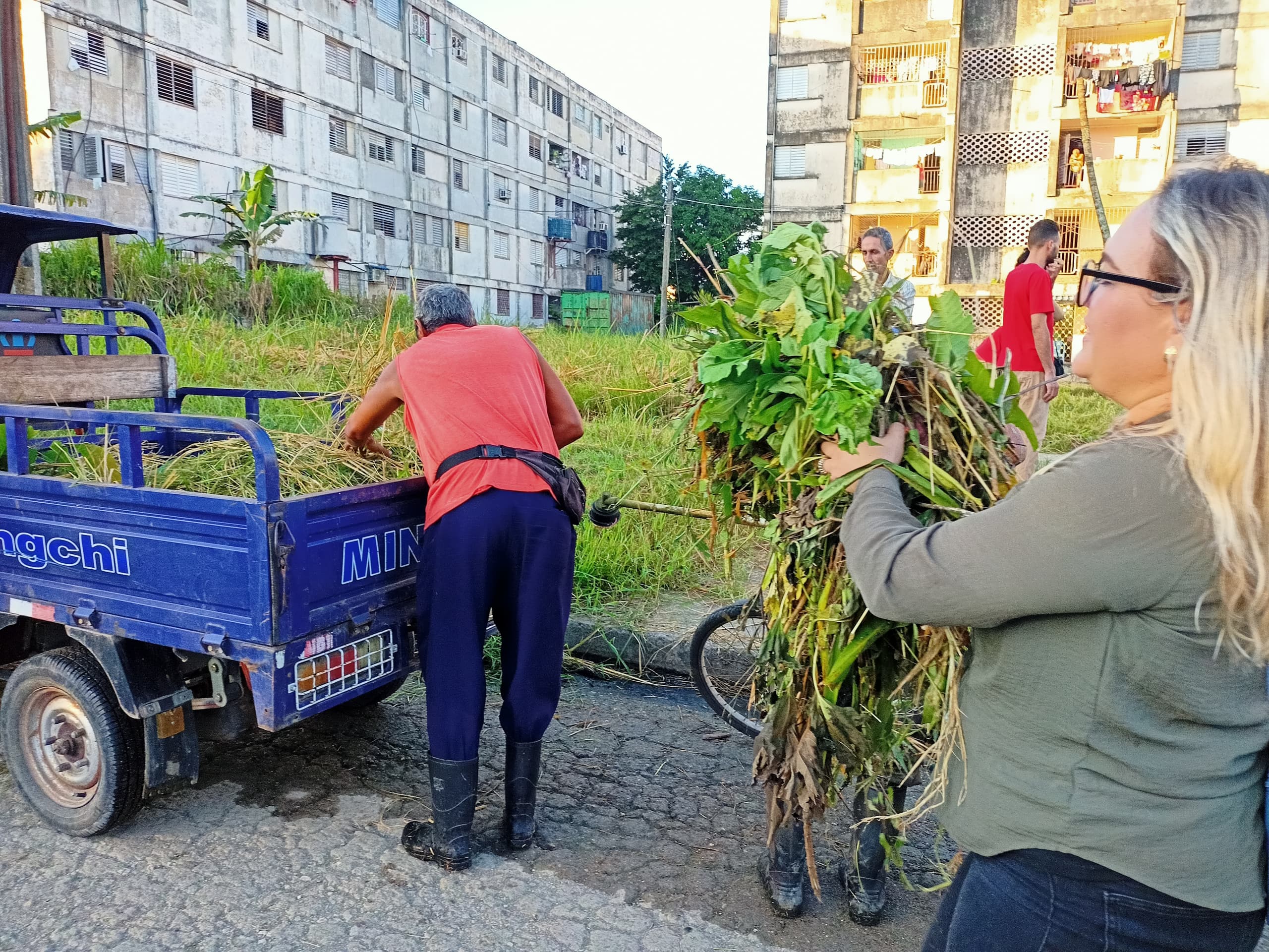 Jornada intensiva de saneamiento en Santa Clara