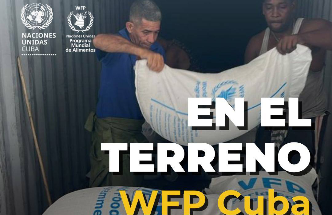 Despliega ONU ayuda anticipatoria en provincias orientales