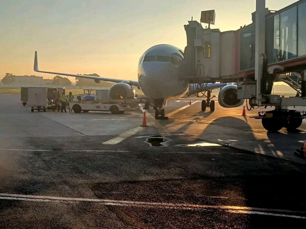 Actualización sobre servicios de transportación en el país