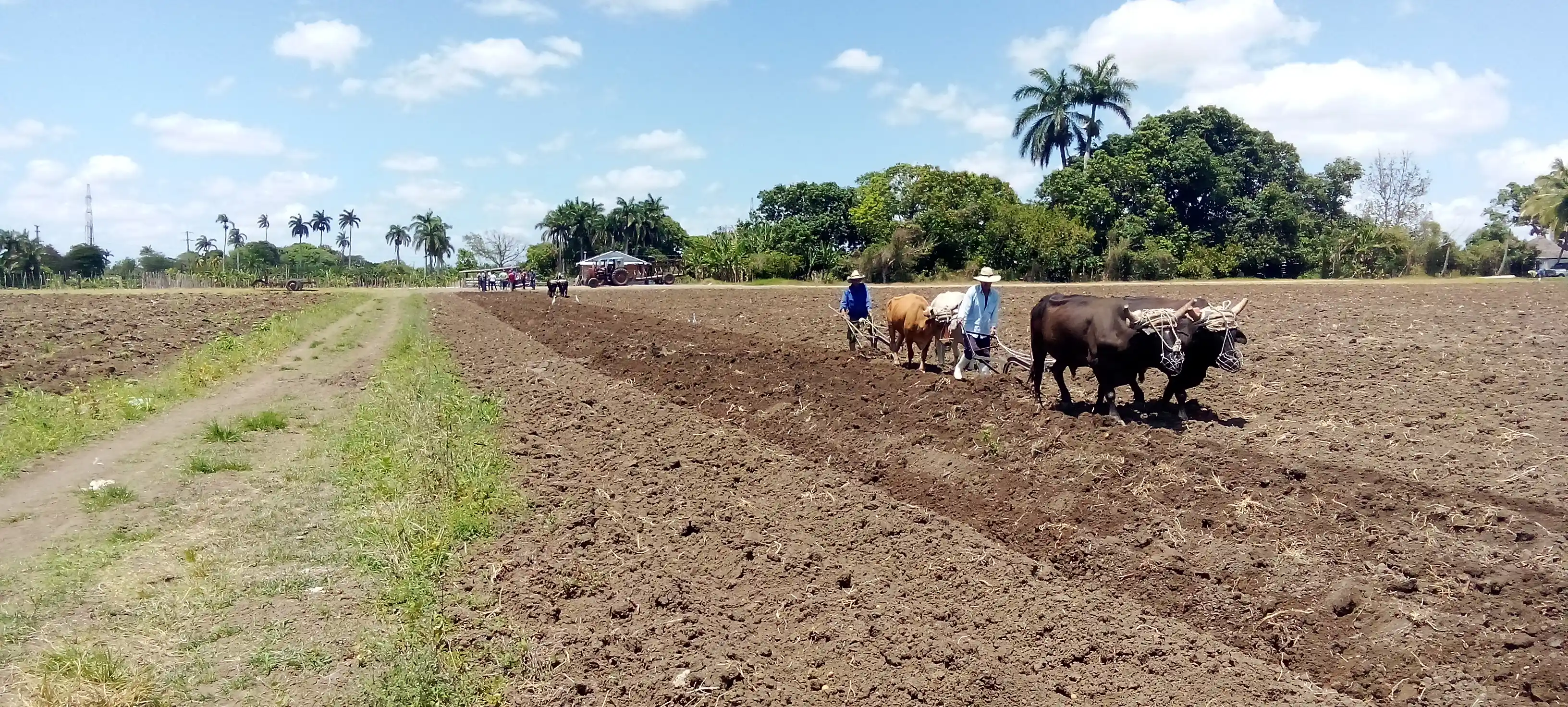 En marcha XVII comprobación nacional de control interno en Villa Clara