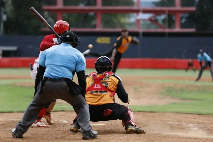 Vuelven a picar las Avispas a los Leopardos Azucareros en la Serie Nacional de Béisbol
